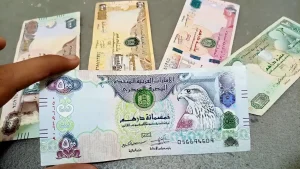 الدرهم الاماراتي